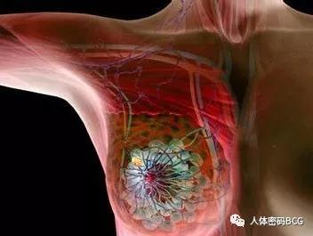 1575511058378190.jpg 微信图片_20191205095503.jpg