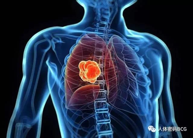 1575511084594002.jpg 微信图片_20191205095509.jpg