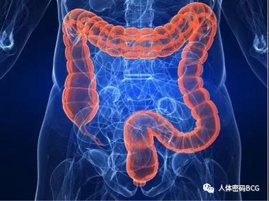 1575511151714090.jpg 微信图片_20191205095514.jpg