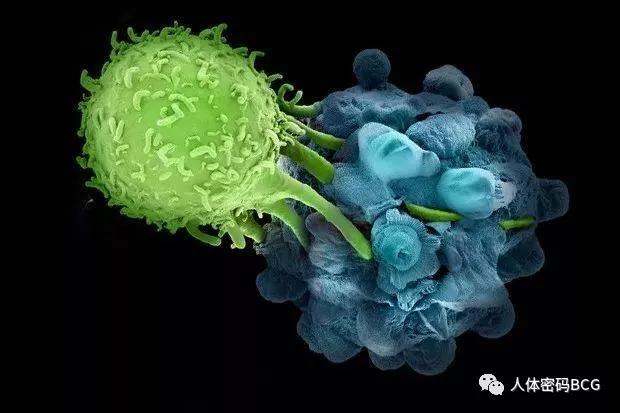 1575511163912636.jpg 微信图片_20191205095519.jpg