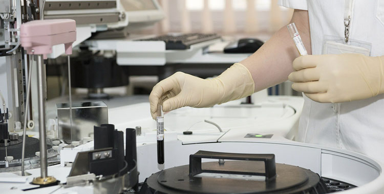 手机端 产品服务